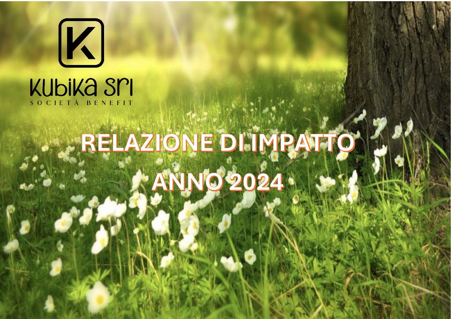 Copertina Relazione d’Impatto 2024
